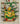 Goddess of the Maize Tree