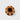 Round brown vase with geometric design on a light brown terracotta background
